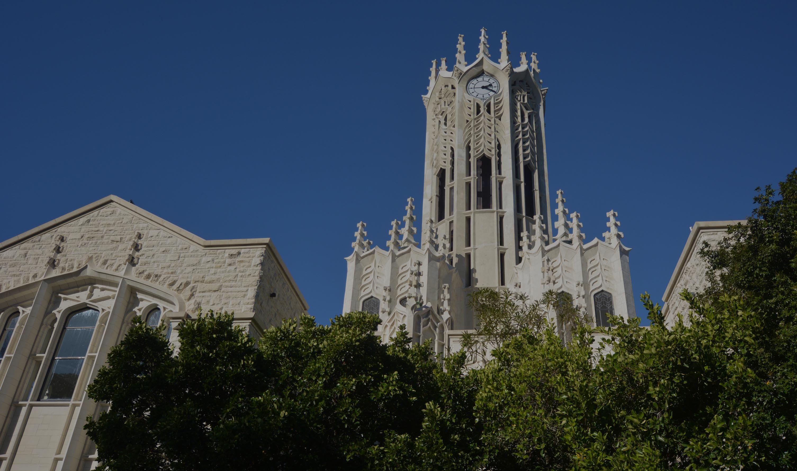 auckland university copy-2.jpg