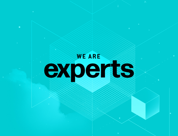 values_experts-min