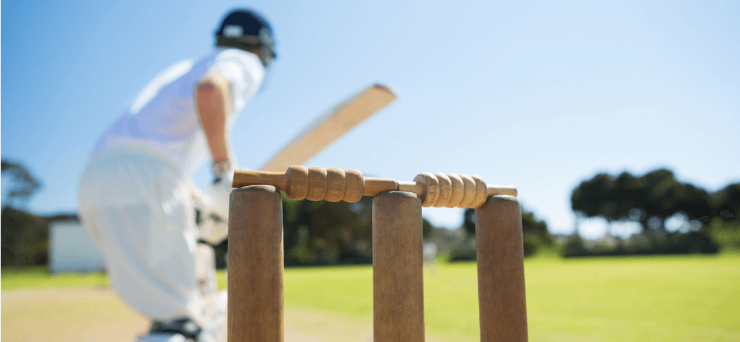 img_whisper-casestudy_cricket-shot